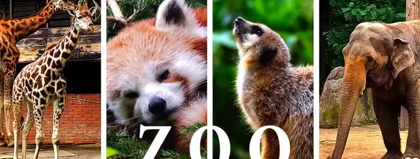 Posen Zoo