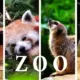 Zoos in Polen
