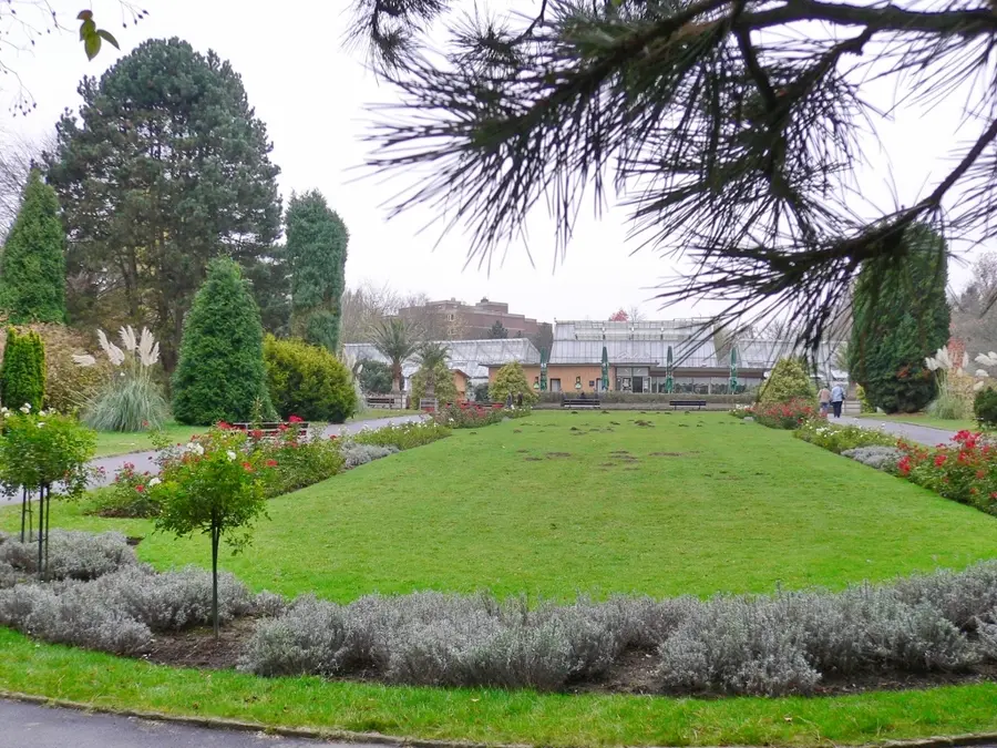 Botanisch Garten (Botanischer Garten Rombergpark)