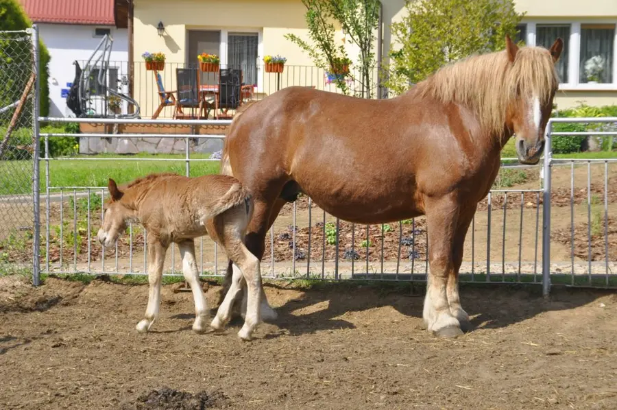 Zoo Olsztyn