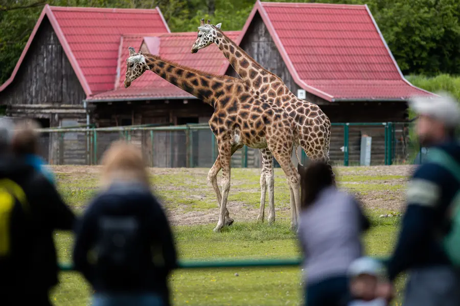 Zoo Danzig